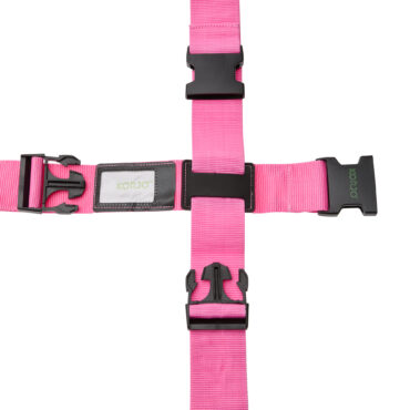 Luggage Straps - Crossed